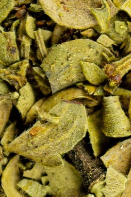 Kreosotbuschkraut Tropfen - Tinktur
