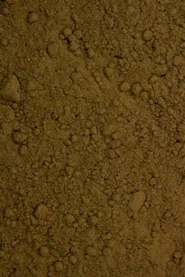 Mandelpilz Pulver Tropfen - Tinktur