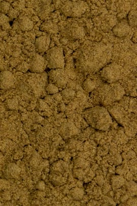Mandelpilz Pulver Tropfen - Tinktur
