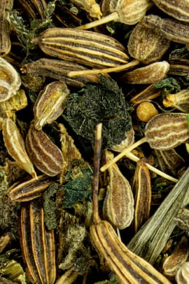Milchbildungstee 100g