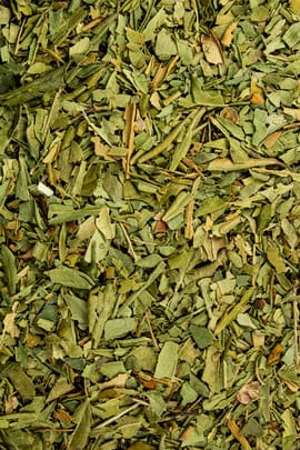 Myrte Tropfen - Tinktur