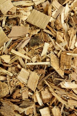 Pappelrinde Tropfen - Tinktur