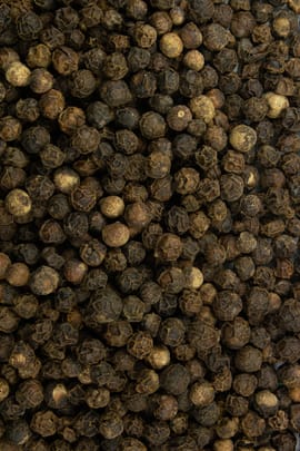Pfeffer, schwarz ganz Tropfen - Tinktur