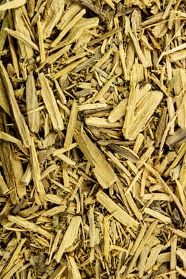 Potenzholz Tropfen - Tinktur