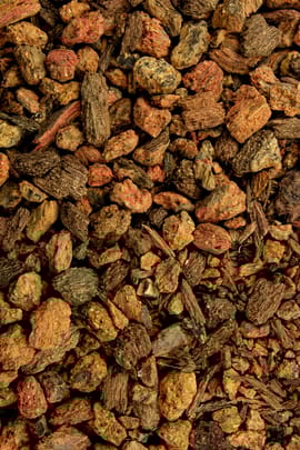 Quebrachorinde Tropfen - Tinktur