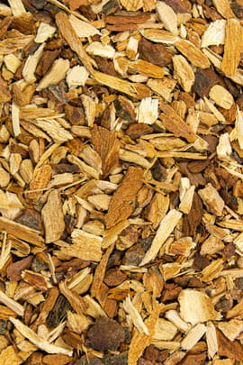 Rosskastanienrinde Salbe