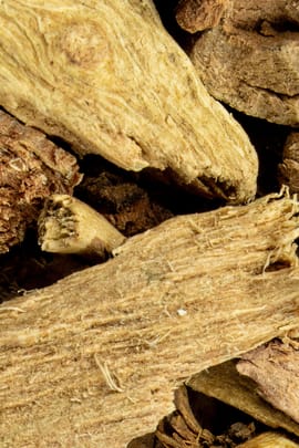 Säckelblumenwurzel Tropfen - Tinktur