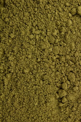 Salbeiblätterpulver