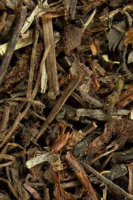 Sonnentaukraut