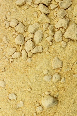 Wilde Möhre gemahlen