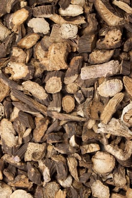 Pfingstrosenwurzel rot Tropfen - Tinktur