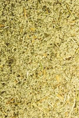 Polpala  Tropfen - Tinktur