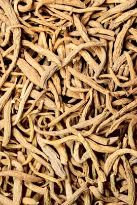 Pseudostellariawurzel Salbe