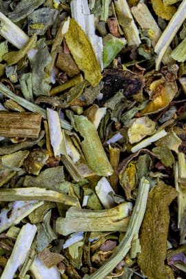Rautenkraut