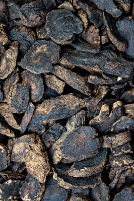 Rehmanniawurzel praep.