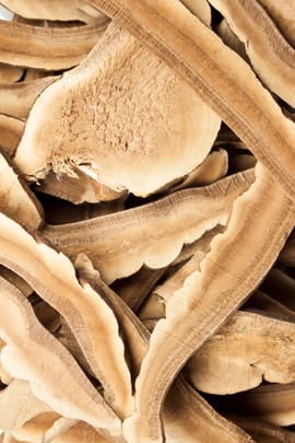 Reishipilz Tropfen - Tinktur