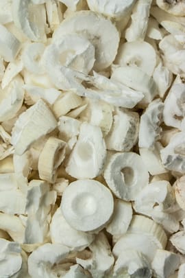 Reispapierbaum Stengelmark Tropfen - Tinktur