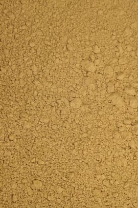 Rhabarberwurzelpulver