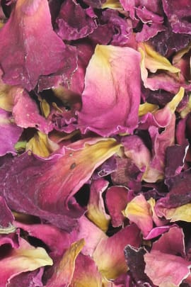Rosenblüten Salbe