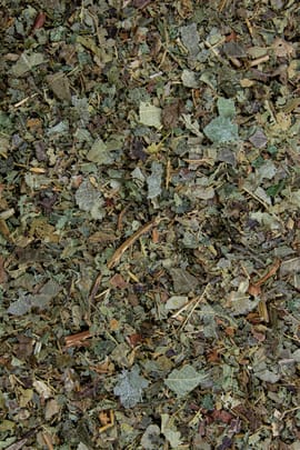 Roßkastanienblätter Tropfen - Tinktur