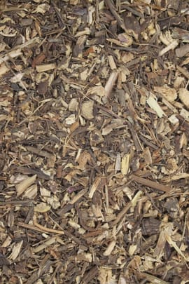 Rote Sonnenhutwurzel Tropfen - Tinktur