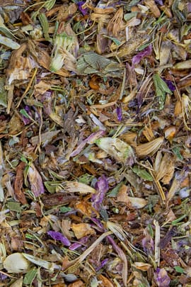 Roter Wiesenklee Tropfen - Tinktur
