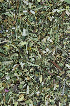 Rotes Sonnenhutkraut