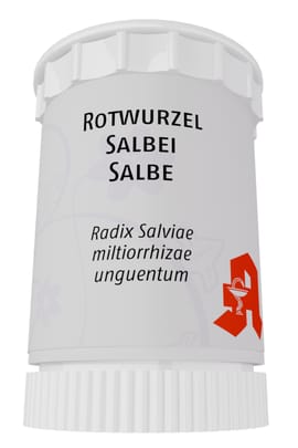 Rotwurzelsalbei Salbe