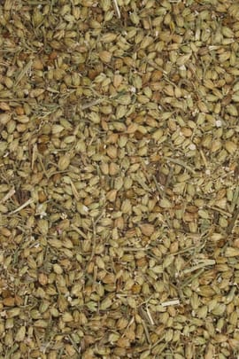 Schafgarbenblüten Tropfen - Tinktur