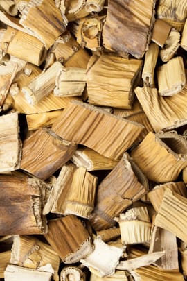 Schilfrohrwurzelstock Tropfen - Tinktur