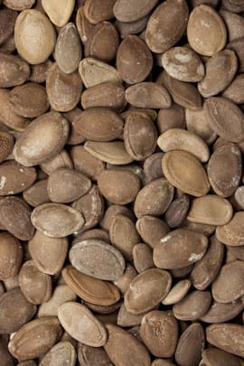 Schlangenkürbissamen Salbe