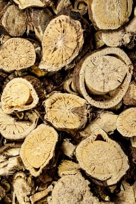 Schnurbaumwurzel, gelb Salbe