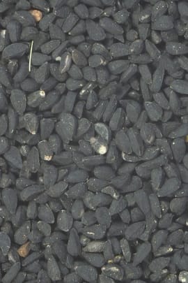 Schwarzkümmel