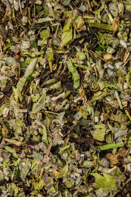 Seelen-Sonnenschein-Tee 200g