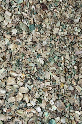 Seeohr Tropfen - Tinktur