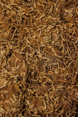 Seidenakazienblüten Salbe