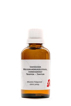 Sibirischer Weißwurzwurzelstock, vorbehandelt Tropfen - Tinktur