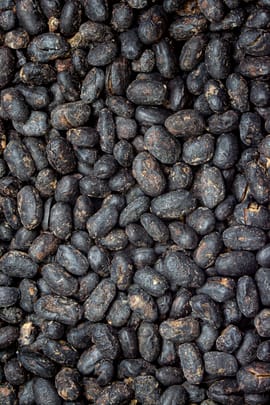 Sojabohnen, fermentiert Salbe