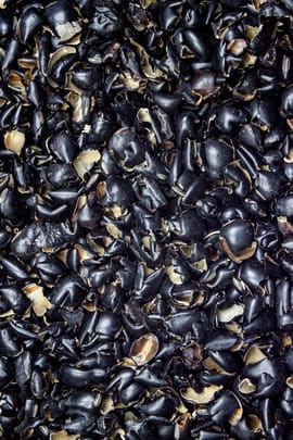 Sojabohnenschalen Salbe