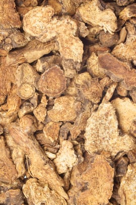 Speichelkrauterdspross, vorbehandelt Salbe