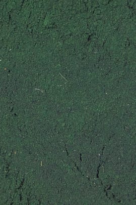 Spirulina Algen pulv.