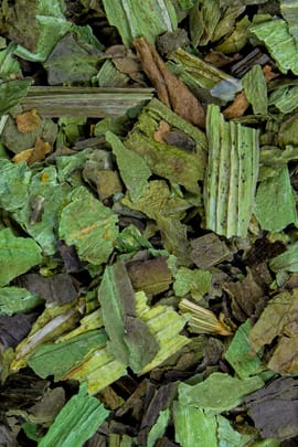 Spitzwegerichkraut