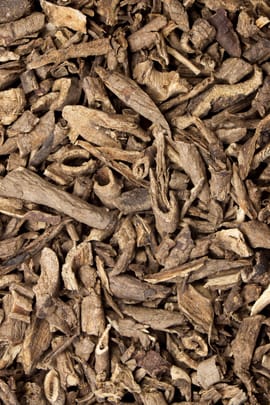 Stachelpanaxwurzelrinde Salbe