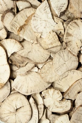 Stephaniawurzel Salbe