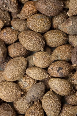 Sterkuliensamen Salbe