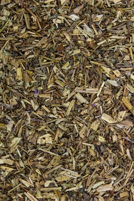 Storchenschnabelkraut