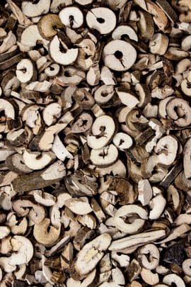 Strauchpaeonienwurzelrinde Salbe