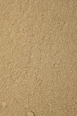 Süßholzwurzelpulver