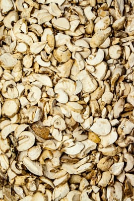 Szechuan Schachblumenzwiebel Salbe