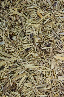 Taigawurzel Tropfen - Tinktur